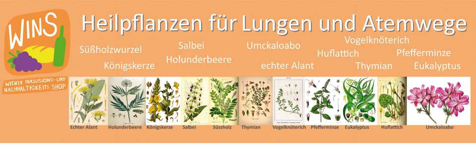 Sonnwendviertel: unser neues Heilpflanzen Regal für Lungen und Atemwege - z.T. mit Tees zum selber Abpacken!